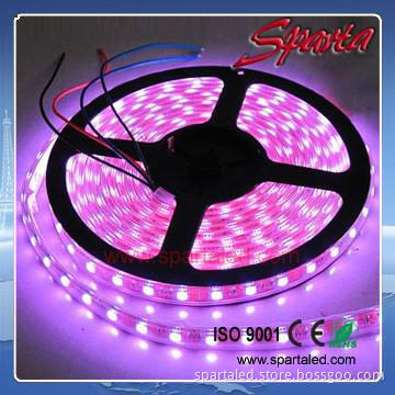 Factory supplier 6W/M high lumen 2835 led strip 600lm/m